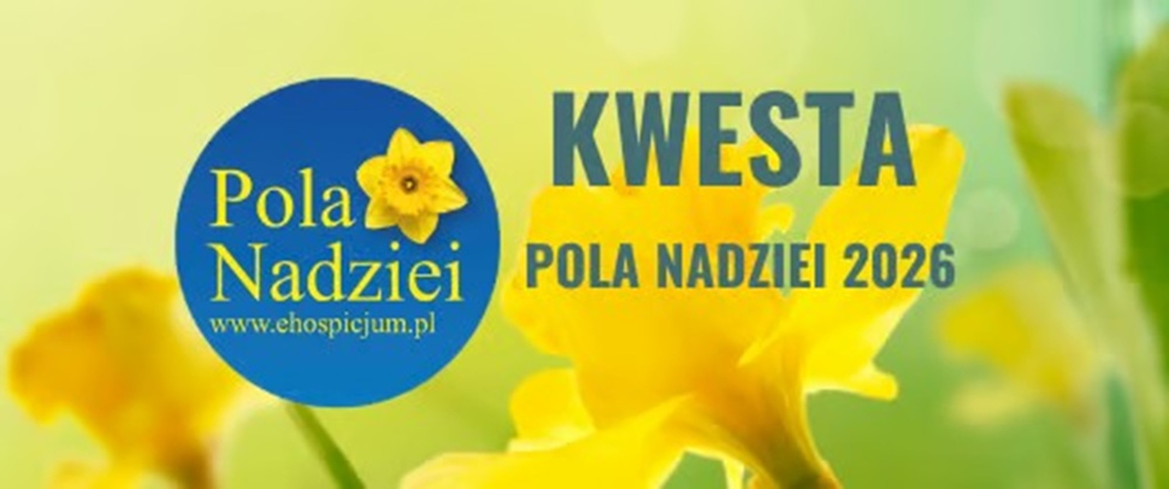 baner
